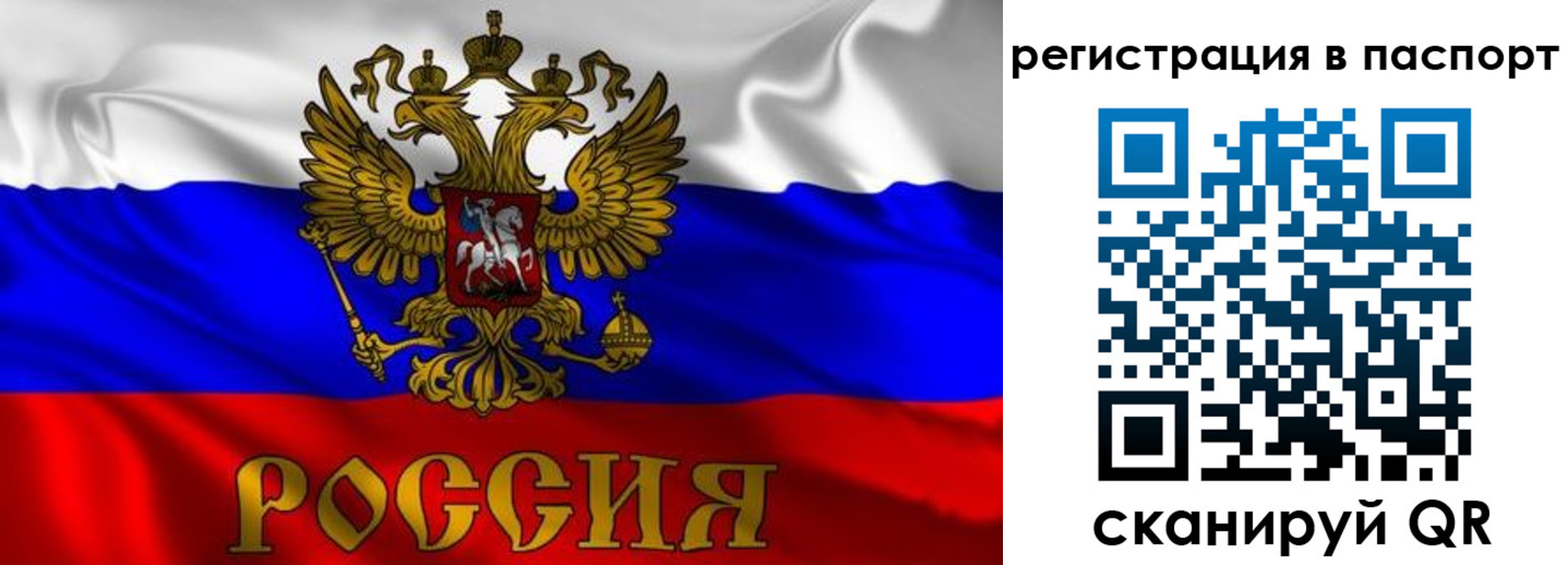 найти адрес прописки в Нелидово